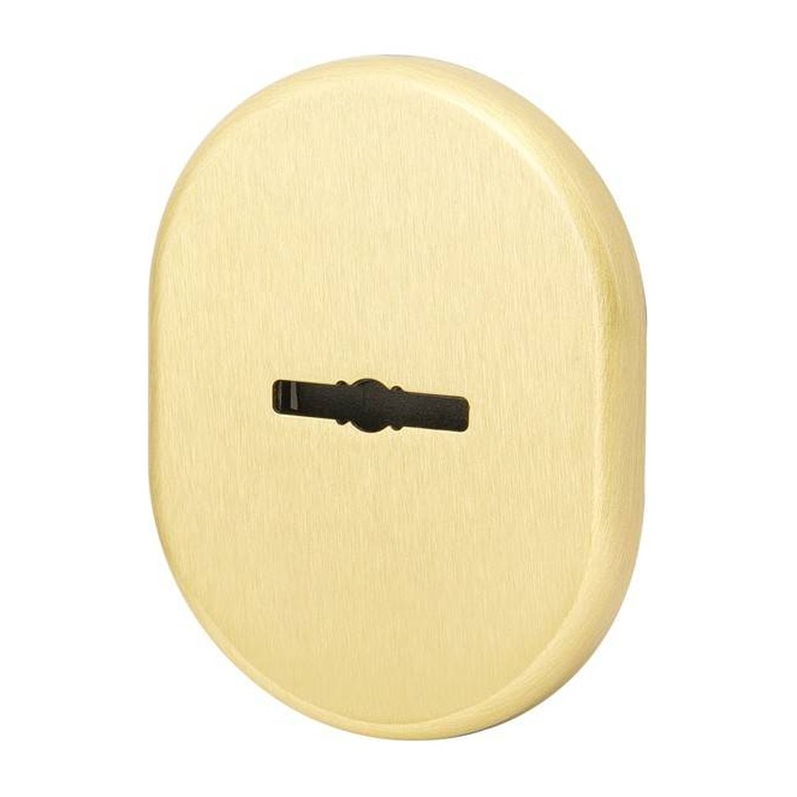 Декоративная накладка на сувальдный замок со шторкой PS-DEC CT (ATC Protector 1) SG-1 — Матовое золото