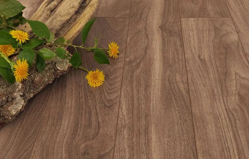 Walnut Tree