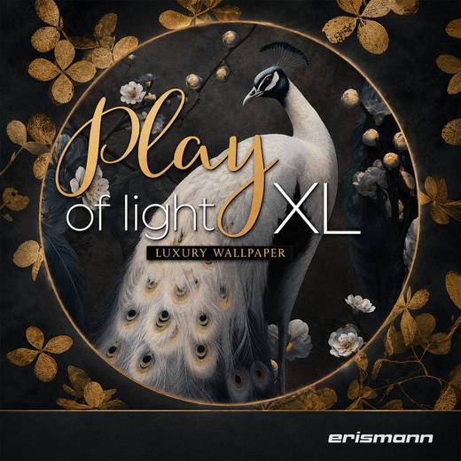 Erismann — Play of Ligth