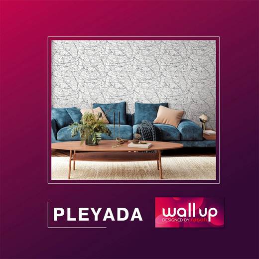 Wall Up — Pleyada